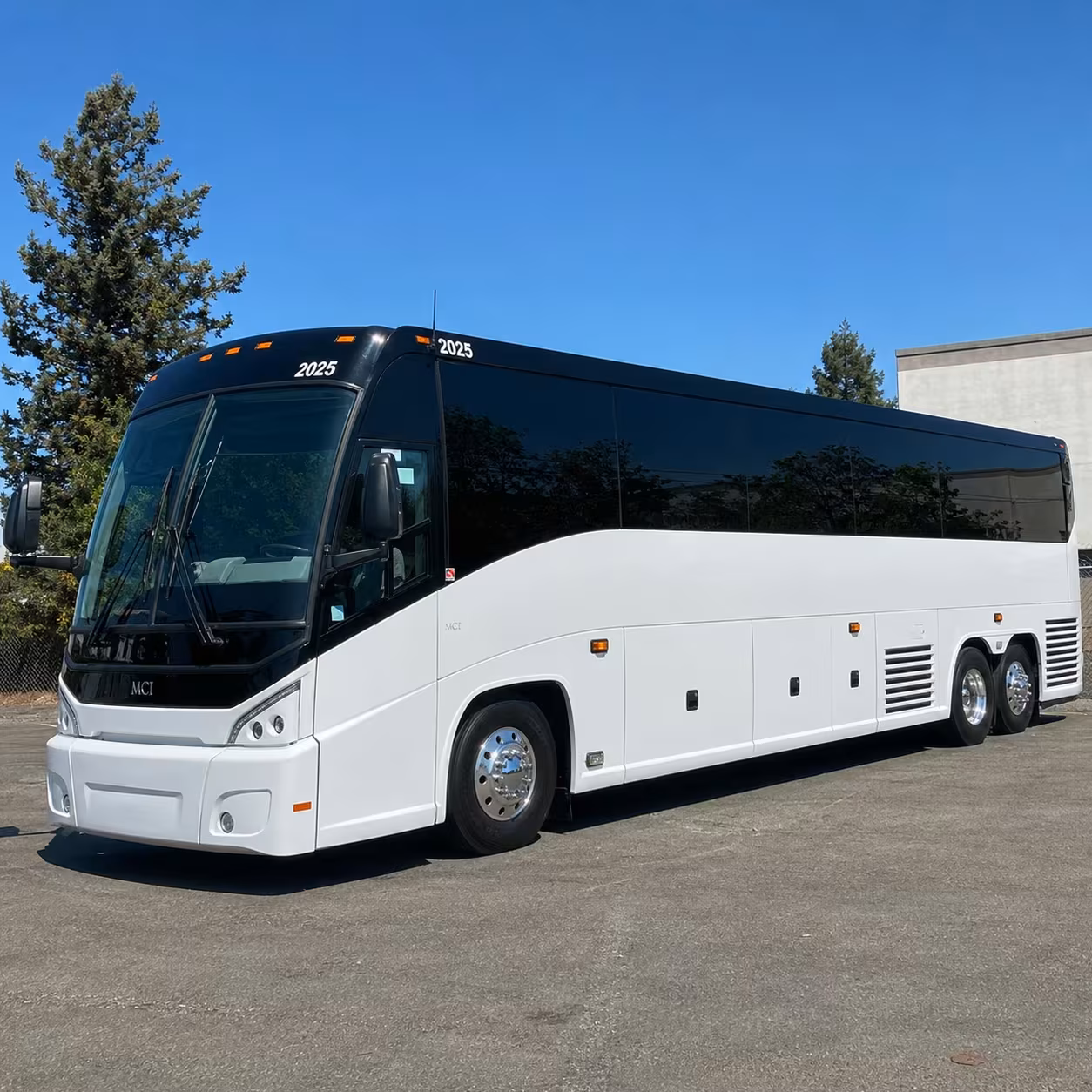 56 passenger charter bus