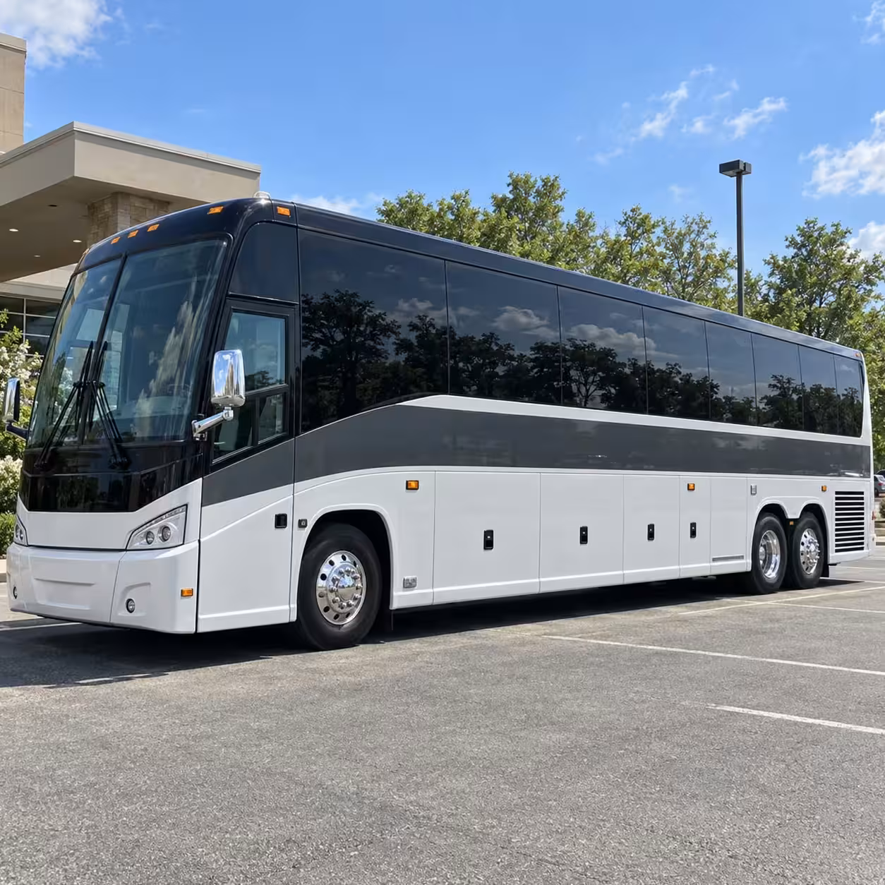 plano prom bus rentals from a large network of providers